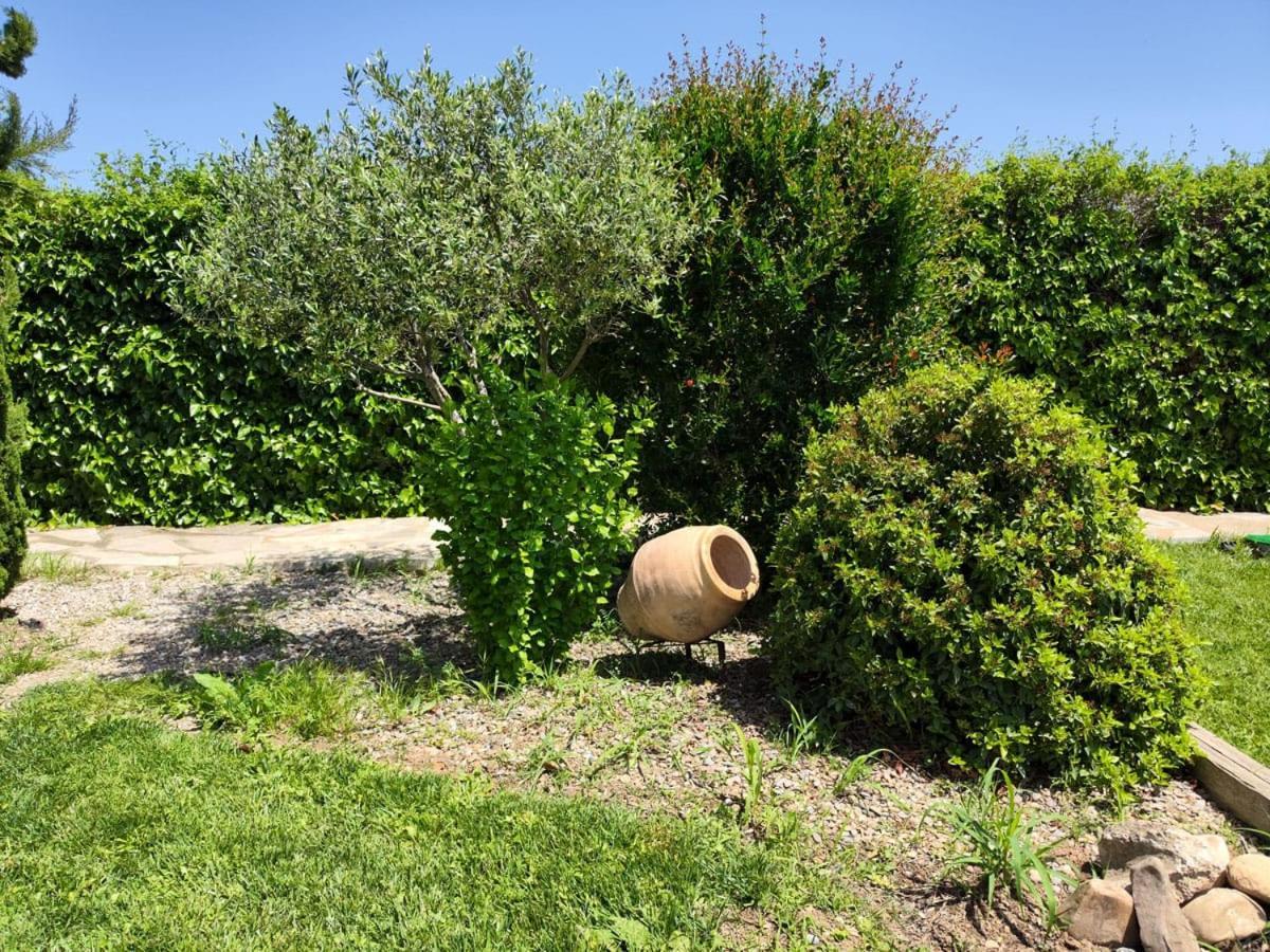 San Julian Estarondo Villa Tudela Exterior photo